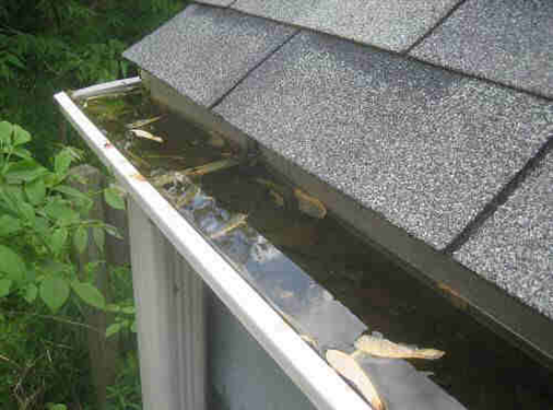 Gutter cleaning services